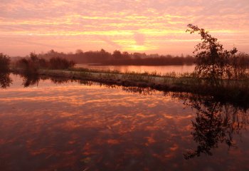 Toetsing natuurwetgeving